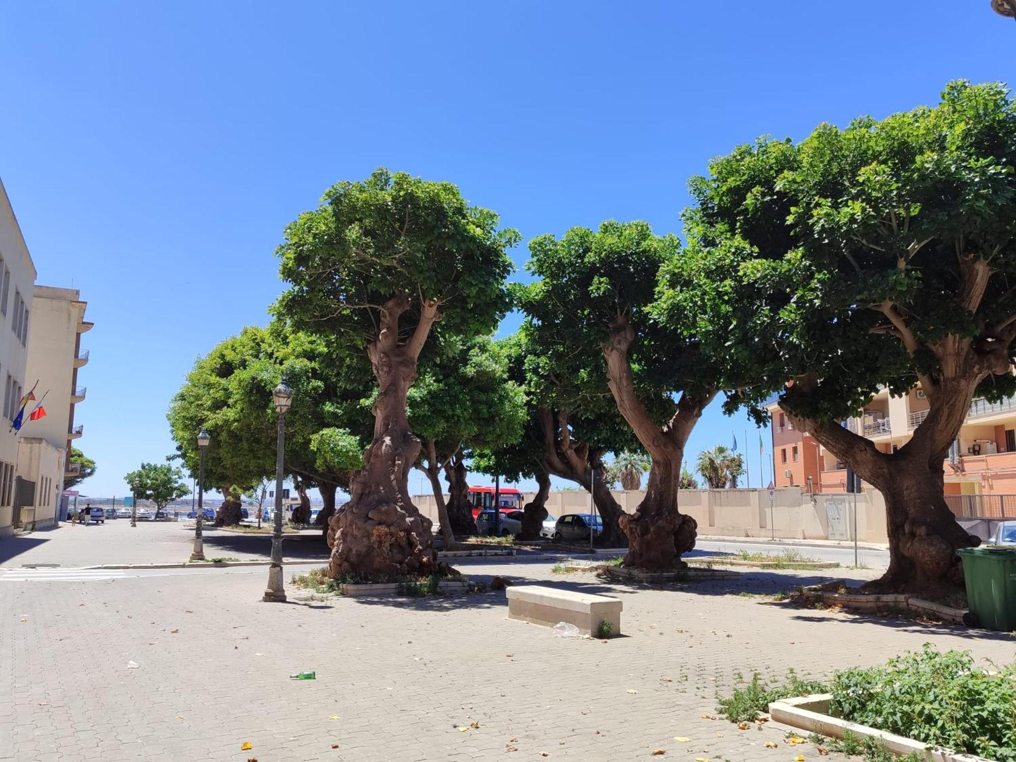 Alla Marina Da Pina Trapani Bagian luar foto