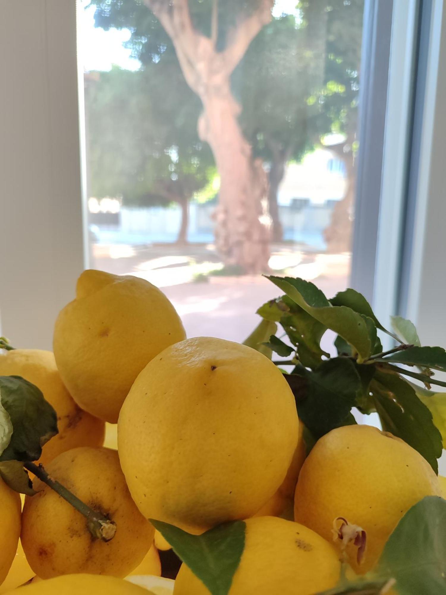 Alla Marina Da Pina Trapani Bagian luar foto
