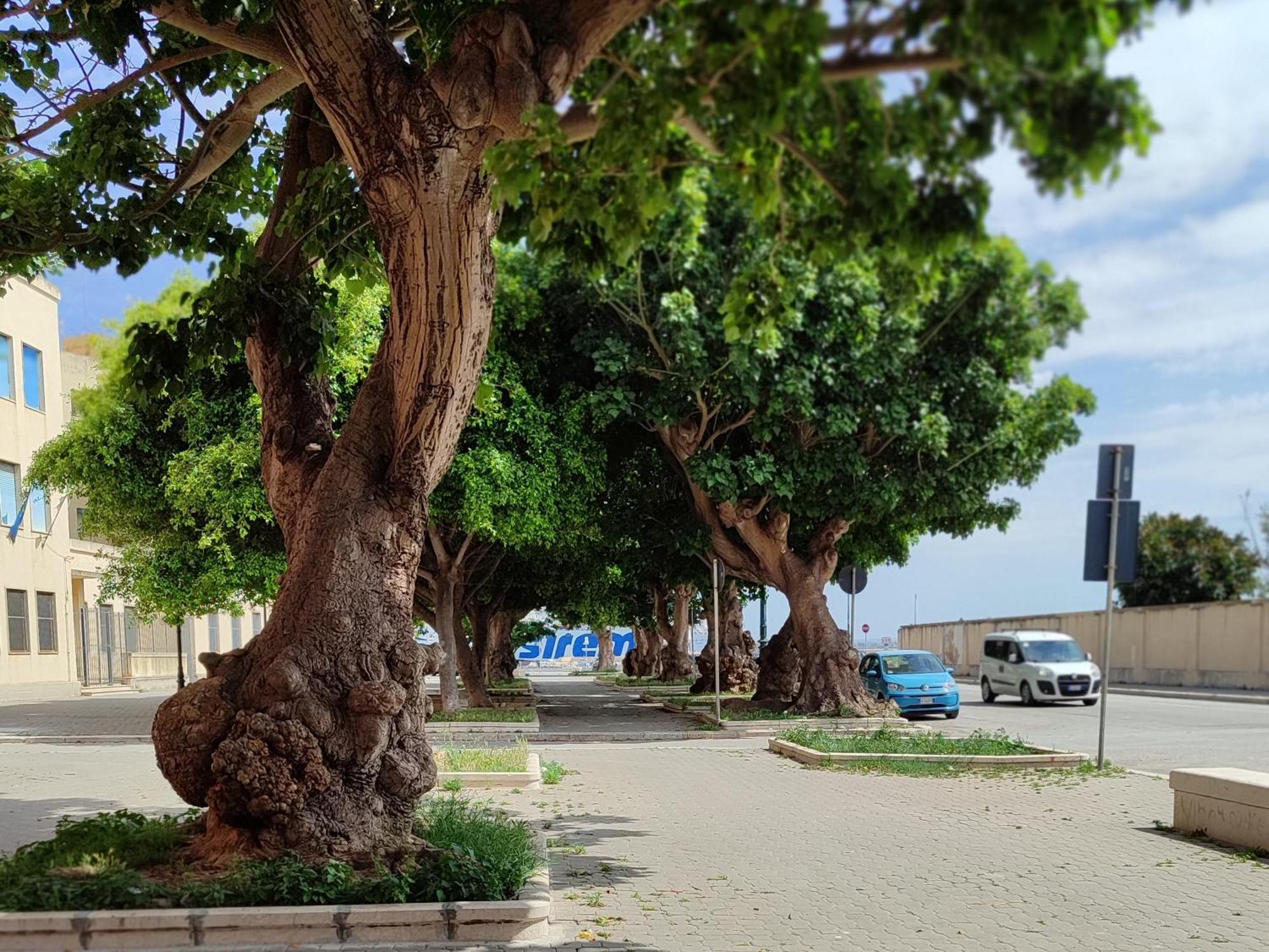 Alla Marina Da Pina Trapani Bagian luar foto